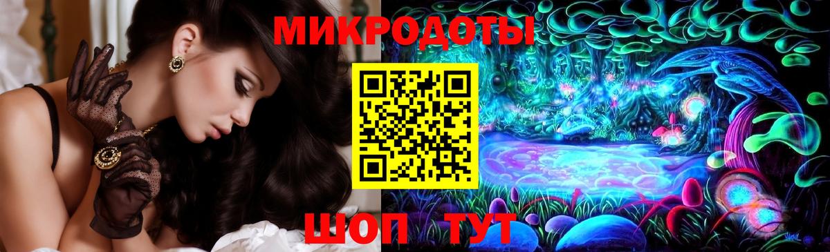 Псилоцибиновые грибы Psilocybe Нерюнгри