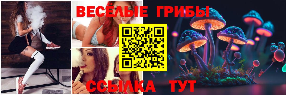Псилоцибиновые грибы прущие грибы  Галлюциногенные грибы MAGIC MUSHROOMS  Нерюнгри  Вход с VPN 